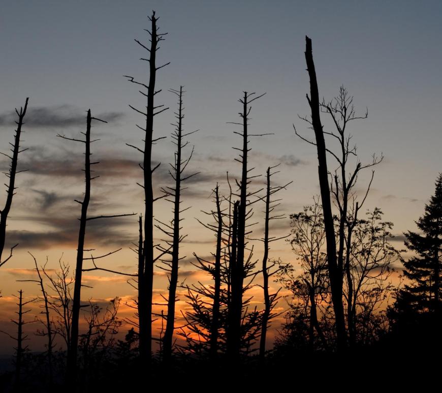 Great Smoky Mountains National Park
