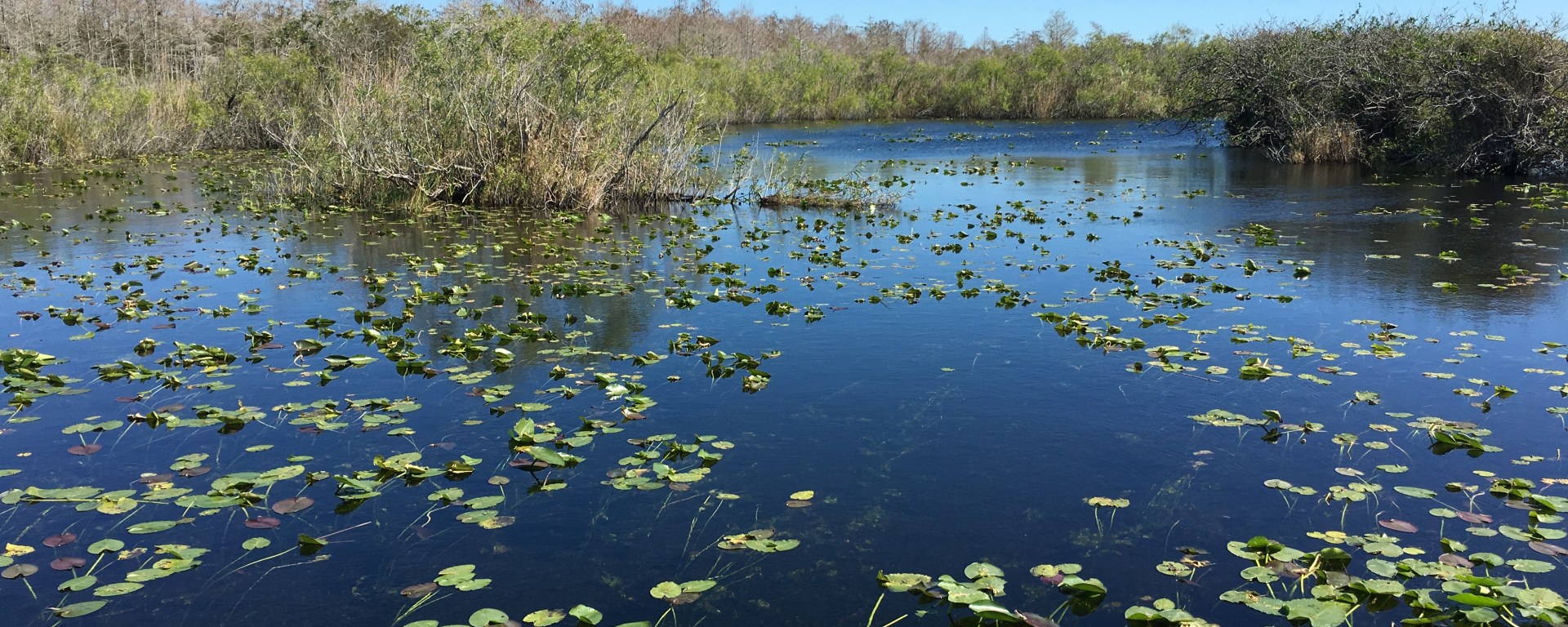 Everglades National Park